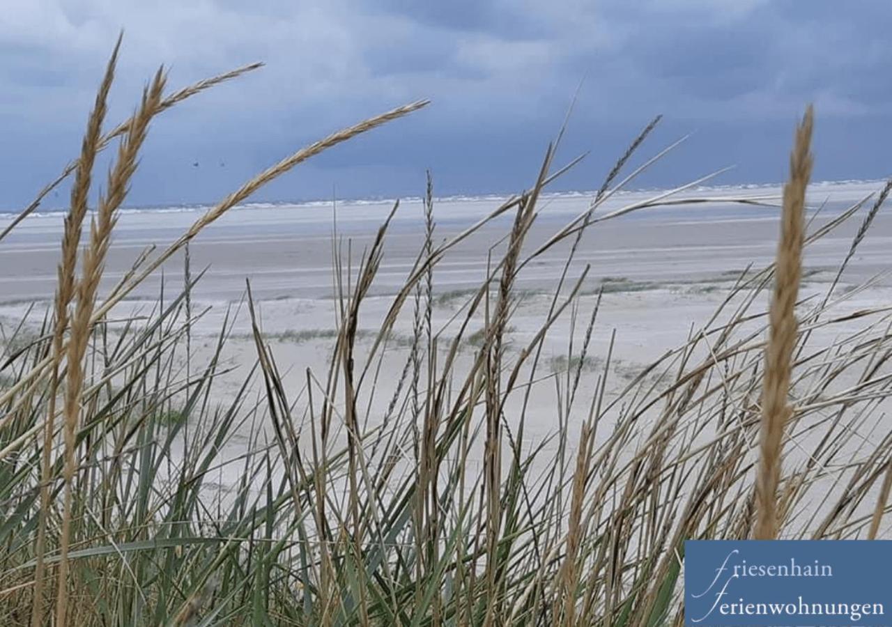 Friesenhain Ferienwohnungen Sankt Peter-Ording Esterno foto