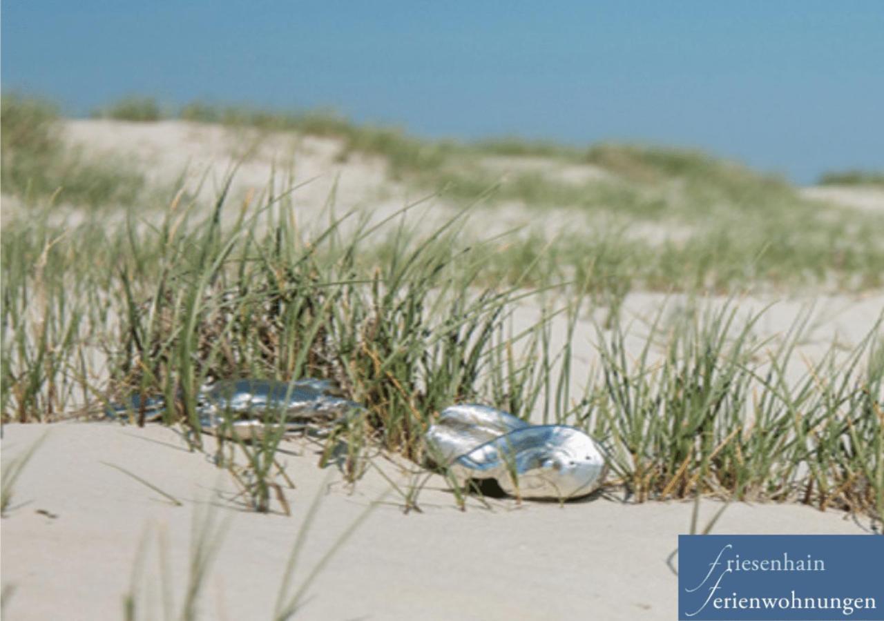 Friesenhain Ferienwohnungen Sankt Peter-Ording Esterno foto